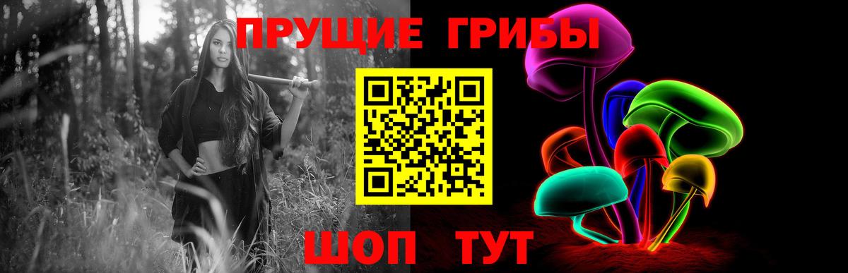 Луховицы  Галлюциногенные грибы Psilocybe  Вход с VPN  Галлюциногенные грибы мухоморы 
